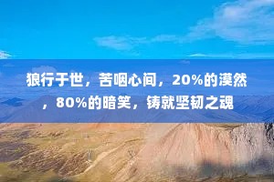 狼行于世，苦咽心间，20%的漠然，80%的暗笑，铸就坚韧之魂