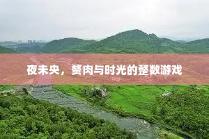 夜未央，赘肉与时光的整数游戏