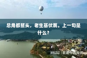 总角都鳌头，老生基伏膺。上一句是什么？