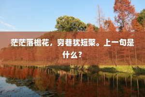 茫茫落檐花，穷巷犹短檠。上一句是什么？