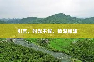 引言，时光不候，情深缘浅