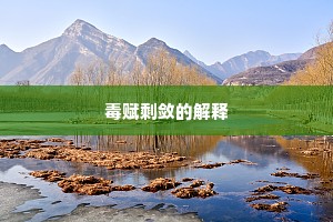 毒赋剩敛的解释