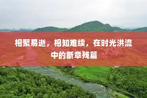 相聚易逝，相知难续，在时光洪流中的断章残篇