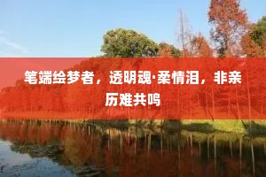 笔端绘梦者，透明魂·柔情泪，非亲历难共鸣