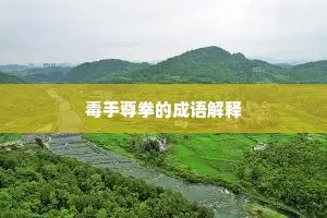 毒手尊拳的成语解释