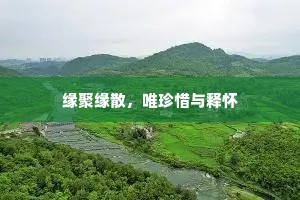 缘聚缘散，唯珍惜与释怀