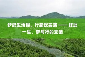 梦织生活锦，行踏现实路 —— 终此一生，梦与行的交响