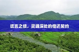 谎言之债，灵魂深处的偿还契约