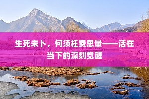 生死未卜，何须枉费思量——活在当下的深刻觉醒