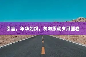 引言，年华如织，匆匆织就岁月画卷