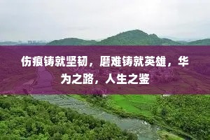 伤痕铸就坚韧，磨难铸就英雄，华为之路，人生之鉴