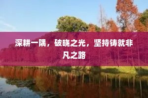 深耕一隅，破晓之光，坚持铸就非凡之路