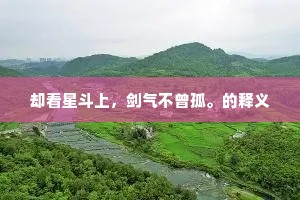 却看星斗上，剑气不曾孤。的释义