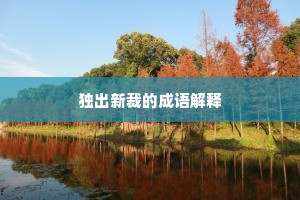 独出新裁的成语解释