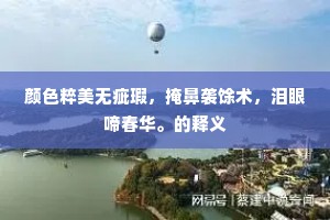 颜色粹美无疵瑕，掩鼻袭馀术，泪眼啼春华。的释义