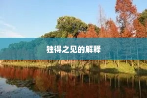 独得之见的解释
