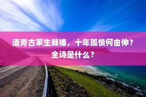 道旁古冢生棘榛，十年孤愤何由伸？全诗是什么？