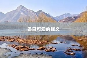 冬日可爱的释义