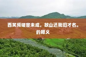 西笑频嗟宦未成，故山还我旧才名。的释义