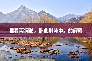 君看两铜驼，卧此荆棘中。的解释