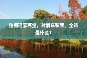 独拥瑶瑟高堂，对满床弦索。全诗是什么？