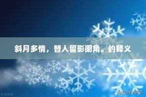 斜月多情，替人留影阑角。的释义