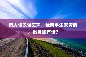 市人骇叹俱失声，我自平生未曾睹。出自哪首诗？