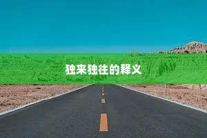 独来独往的释义