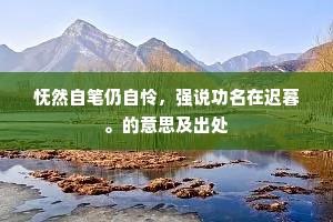 怃然自笔仍自怜，强说功名在迟暮。的意思及出处