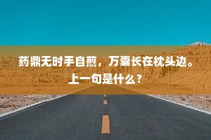 药鼎无时手自煎，万囊长在枕头边。上一句是什么？