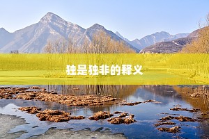 独是独非的释义