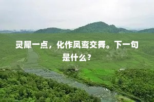 灵犀一点，化作凤鸾交舞。下一句是什么？