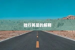 独行其是的解释
