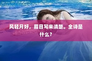 风轻月好，眉目写来清楚。全诗是什么？