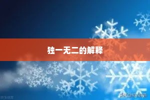 独一无二的解释