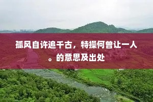 孤风自许追千古，特操何曾让一人。的意思及出处