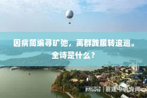 因病简编寻旷弛，离群践履转逡巡。全诗是什么？