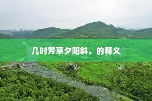 几时芳草夕阳斜。的释义