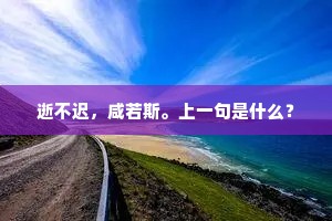 逝不迟，咸若斯。上一句是什么？