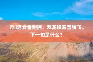 万鹢连云金翅拥，双龙横雾玉鳞飞。下一句是什么？
