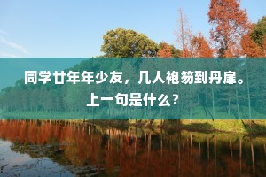 同学廿年年少友，几人袍笏到丹扉。上一句是什么？