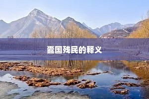 蠹国残民的释义
