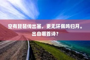 空有琵琶传出塞，更无环佩鸣归月。出自哪首诗？