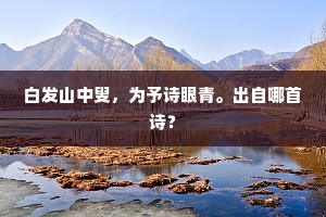 白发山中叟，为予诗眼青。出自哪首诗？