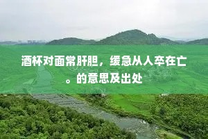 酒杯对面常肝胆，缓急从人卒在亡。的意思及出处