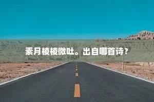 素月棱棱微吐。出自哪首诗？
