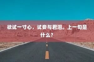 欲试一寸心，试妾与君泪。上一句是什么？