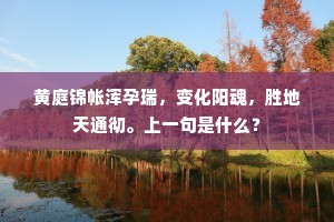 黄庭锦帐浑孕瑞，变化阳魂，胜地天通彻。上一句是什么？