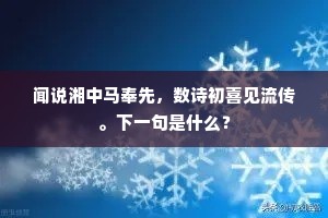 闻说湘中马奉先，数诗初喜见流传。下一句是什么？