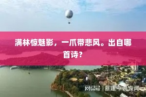 满林惊魅影，一爪带悲风。出自哪首诗？